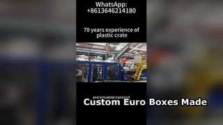 Produzione di Eurobox personalizzate e contenitori VDA | Fabbrica di contenitori logistici in plastica OEM