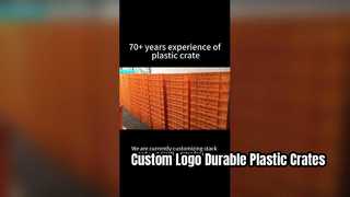 Casse di plastica personalizzate impilabili e annidate con serigrafia del logo | Soluzione di branding durevole per Logis