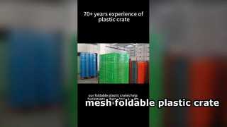 Imballaggio in cassa di plastica pieghevole in rete per una soluzione logistica riutilizzabile salvaspazio salvaspazio per i clienti statunitensi