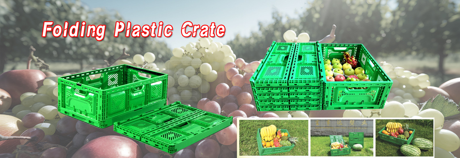 qualità Cassa di plastica pieghevole fabbrica