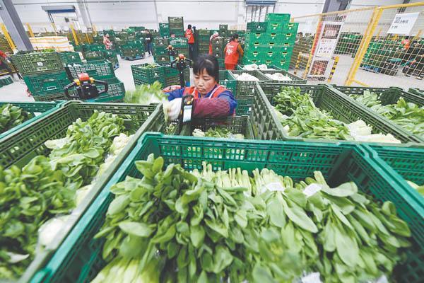 Ultimi blog aziendali su Perché le casse a maglia da 600×400×220 mm stanno diventando lo standard per la consegna di prodotti freschi last-mile nel 2026