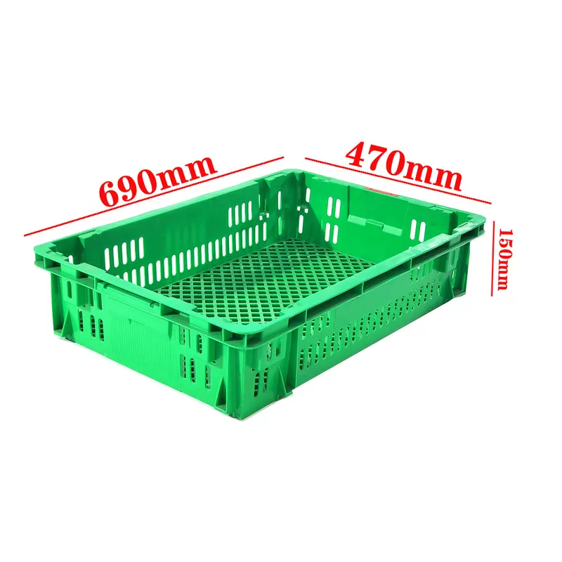 Ultimi blog aziendali su Why Crate Dimensions Matter in Produce Logistics: A Practical Look at 690 × 470 × 150 mm Mesh Crates