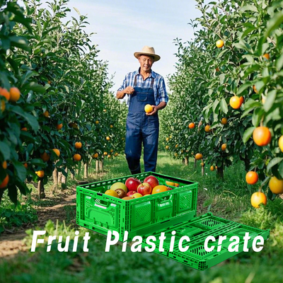 Griglia di stoccaggio per casse pieghevoli Contenitori di plastica Scatole mobili